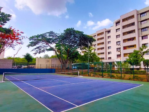 Sports Areas