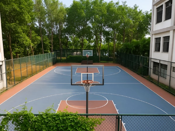 Sports Areas